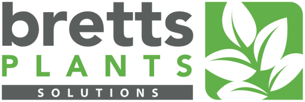 2024 Bretts PLANTS