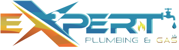2024 EXPERT PLUMBING SOLUTIONS logo